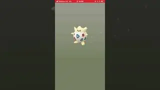 3 star togepi hatch