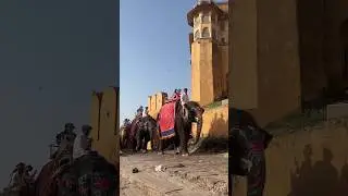 Amer fort Elephant ride 🦚