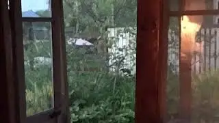 А.Анпилов 