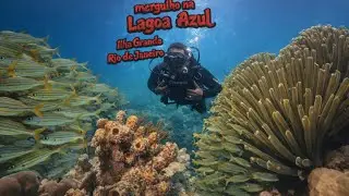 Mergulho na lagoa azul Ilha grande Rio de janeiro #lagoazul #ilhagrande #angradosreis #rj 