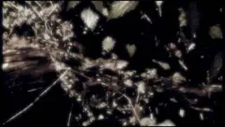 Daimonion: Mother of God (2009) - a film by Ivan Rogar