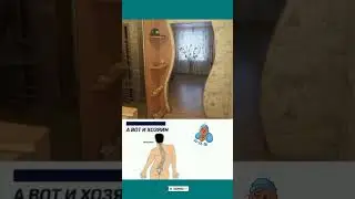 #юмор #смешновидео #мем #смехпродлеваетжизнь