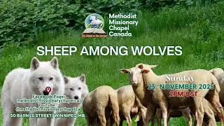 Sheep amog wolves - Methodist Missionary Chapel Canada - Revd Bamidele Oni