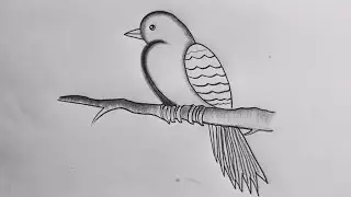 Bird drawing easy step by step // bird drawing 