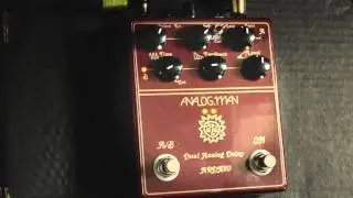 Gratatester  #11.Analogman Dual Analog Delay