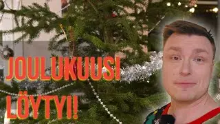 Doctoreki hakee joulukuusen