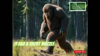 The FOREST Secretly Hides a SHOCKING Truth About Sasquatch