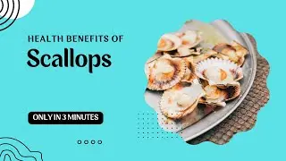 Health Benefits of Scallops