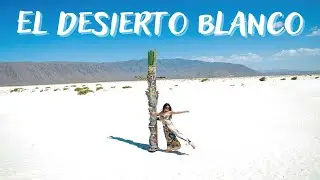 EL DESIERTO BLANCO DE MÉXICO l Cuatro Ciénegas Coahuila ¿Qué hacer?