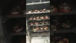 Smoked Catfish production in process: 250 catfish 50% dry after 12 hours in the oven