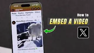How to Embed a Video on X Twitter! [Without Retweeting]
