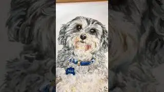 Skylark Galleries - commission work by Helen Trevisiol Duff