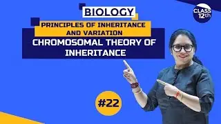 Chromosomal Theory of Inheritance | Principles of Inheritance and Variation | Class12th | Part-22