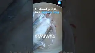 How to thaw frozen seafood?