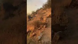 Over look trail @ Adero Canyon in fountain hills AZ