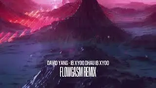 David Yang - Ib Xyoo Dhau Ib Xyoo (FlowGasm Remix)