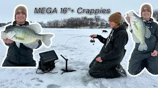 Early Ice Fishing GIANT Crappies On A New Lake (MULTIPLE 16&rdquo;+ New PB)