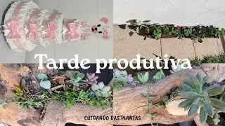 Uma tarde comigo, bolo de fraldas, replante dos Gerânios, cuidando das minhas plantas. EP. 344