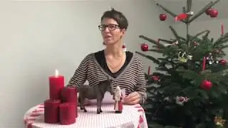 Samichlausspr&uuml;chli von Esther Thalmann