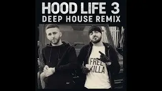 Vinz ft Stealth   Hood Life 3 Dj  Ryson  Remix