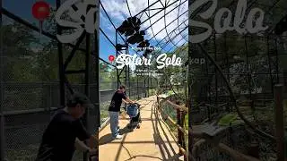 VISIT SAFARI SOLO 2025