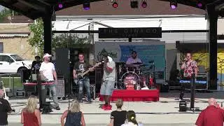 Party Punch Band  S3350016