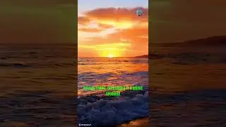 1 Rich life #shorts #rich #life #money #motivation #crypto #шортс #деньги #мотивациянауспех #крипта