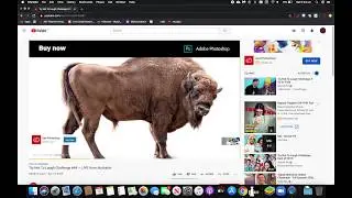 YouTube Auto Ad Skipper