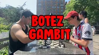 BOTEZ GAMBIT Against a Chess Master!