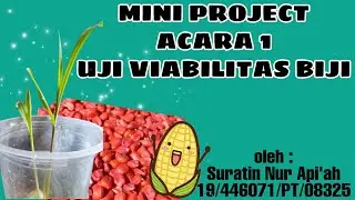 Suratin Nur Api'ah_20_MP1 #UGM #FakultasPeternakan #LabHMTP #PraktikumMANPAS2021