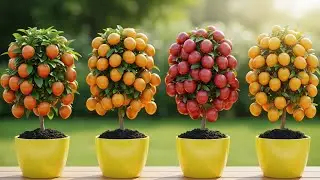 How to Propagate Lemon Plants From Lemon Cuttings @ngarden-n8g 