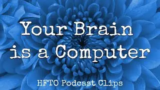 Your Brain is a Computer; Use Magic Mushrooms to Debug & Defrag | HFTO Podcast Clips