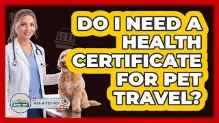 Do I Need A Health Certificate For Pet Travel?