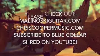 malinoski sonic demo