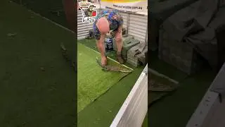 Today in Australia&hellip; Crocs in shops. Standard Aussie kids entertainment. 🇦🇺🐊