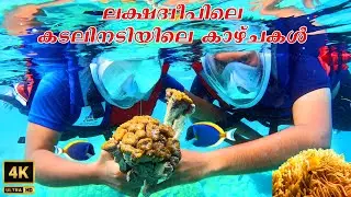 Snorkeling in Thinnakara + Epic Sandbank Visit | Beautiful Lakshadweep Islands
