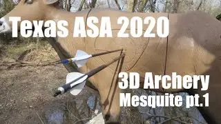 3D Archery:  Texas ASA 2020 (Mesquite Part 1)