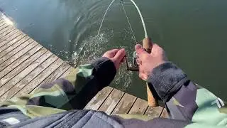 Turing monkey SP-40 trout fishing 