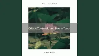 Best Meditation Music for REM Rest