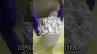 Производство сыра с плесенью. Полный цикл. Узнали что-то новое? #обучениесыроделию #сырсплесенью