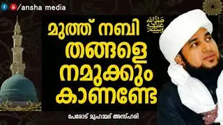മുത്ത് നബി ﷺ തങ്ങളെ നമുക്കും കാണണ്ടേ | Perode Muhammad Azhari