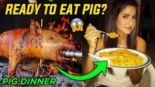 Pakistani or India k khany main Suar (Pig) ka Gosht..!! Warning..!!