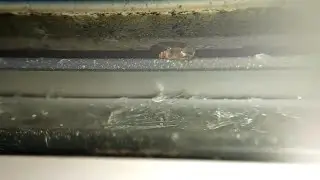 You take a look. Inspection requirements, magnifier, light, Bullet?