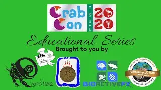 2020 Crab Con - HERMIT CRABS IN THE CLASSROOM AND THEIR EDUCATIONAL VALUE