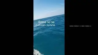 Mohammedia - Fuengirola. Etapa II
