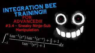 Integration Bee Training for Advanced #3.4 - Sneaky Ninja-Sub Manipulation