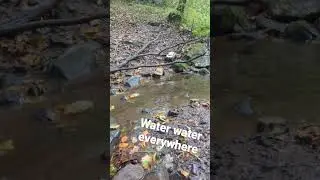 RC river crossing