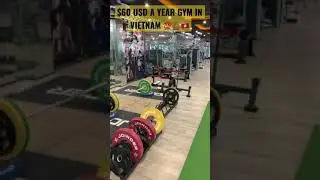 Would you pay $60 a year to join this gym in Vietnam. #shorts #gym #health #exercise #body