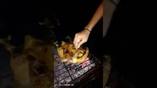 vlog ade