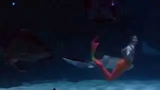 The Mermaid's Show at Ripley's Aquarium in Myrtle Beach SC